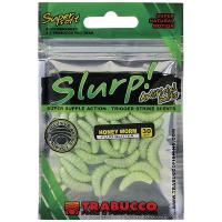 Сил. приманка SLURP BAIT HONEY WORM FLUO GLITTER 30шт
